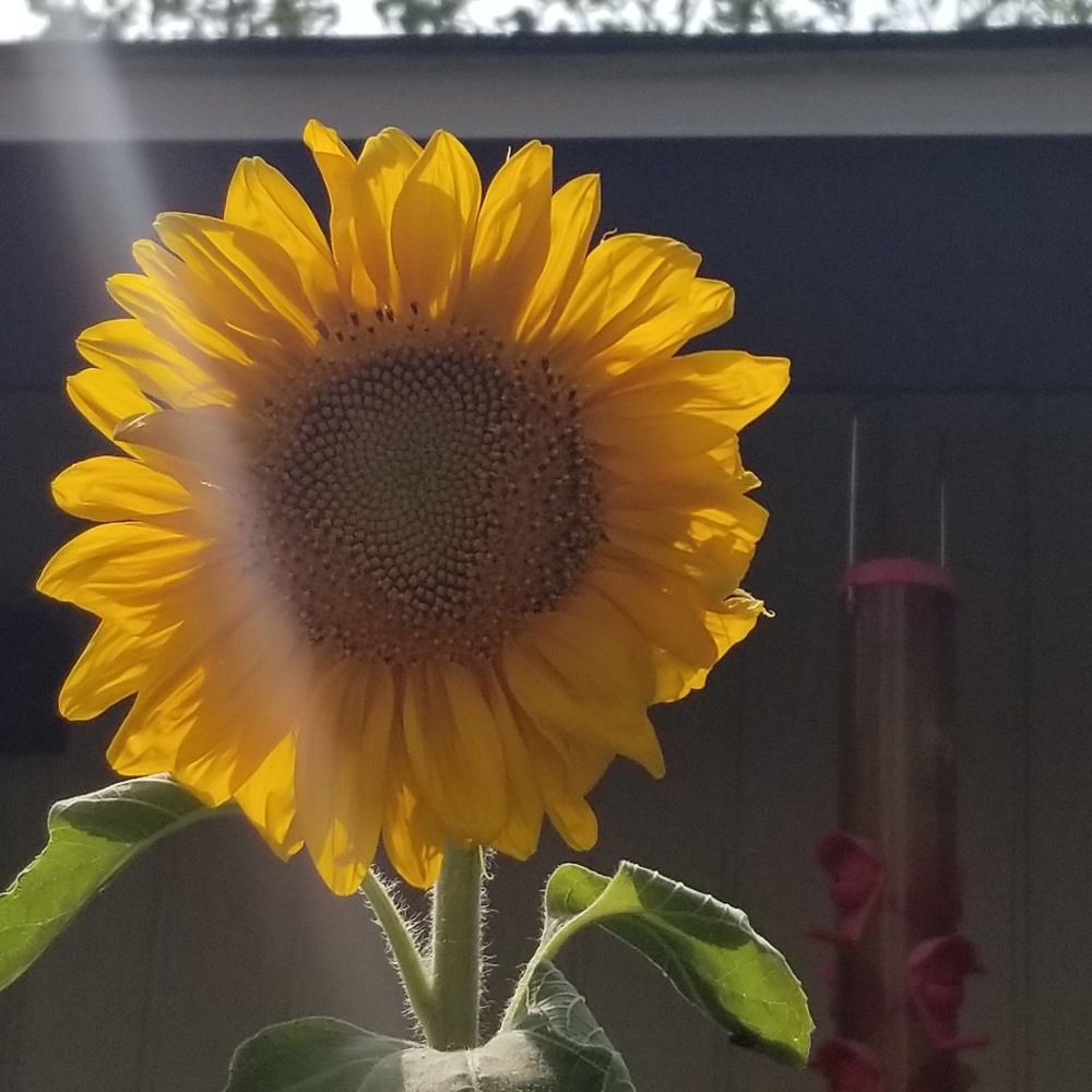 Meet your Posher, Tami